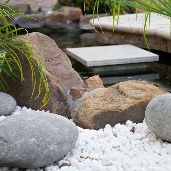 water saving landscape ideas